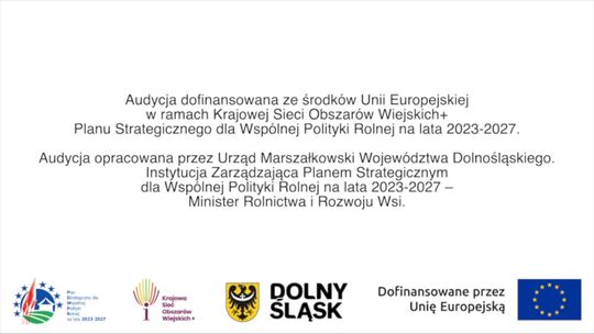 „Fundusz sołecki - najlepsza inicjatywa” - prezentujemy laureatów II i III miejsca