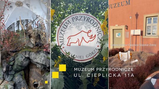 MUZEUM PRZYRODNICZE W JELENIEJ GÓRZE/CIEPLICACH dla małych i dużych - to wyjątkowe miejsce na mapie Dolnego Śląska