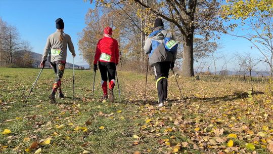 Puchar Polski Nordic Walking 2024 w Gmina Podgórzyn!