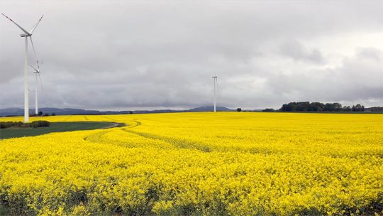 "Spółdzielnie energetyczne"