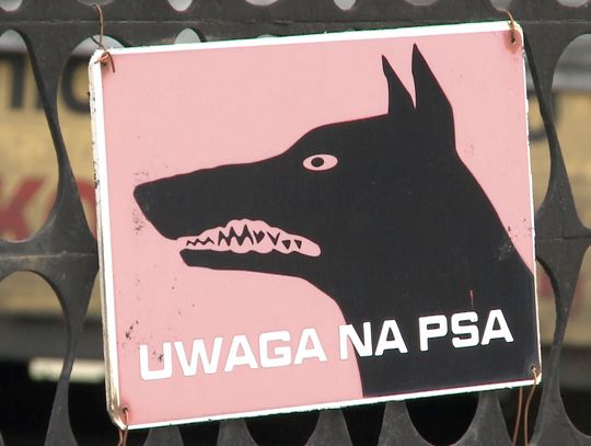 Apel córki tragicznie zmarłego mężczyzny