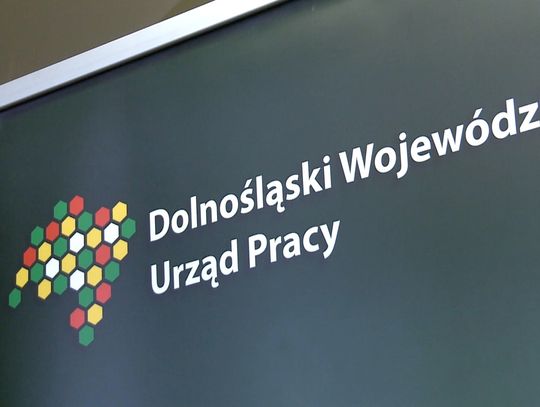 Barometr zawodów 2020