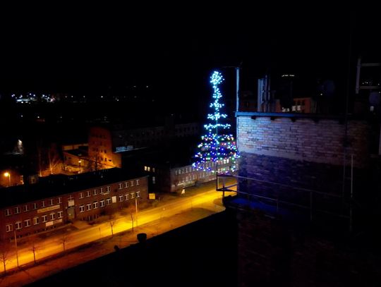 Choinka na dachu elektrociepłowni?