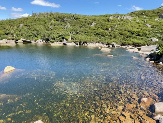 Do czego wykorzystywane są fotopułapłpki?
