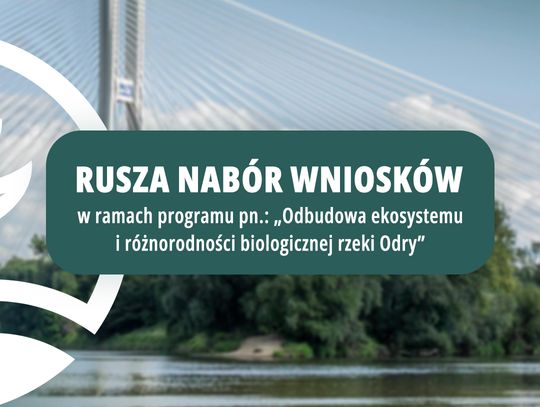 Dofinansowania na odbudowę ekosystemu Odry. WFOŚiGW we Wrocławiu z nowym programem