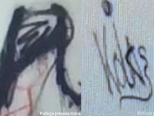 Dwie nieletnie odpowiedzą za "graffiti"
