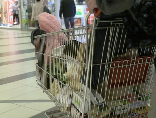 Dzień Nauki Polskiej