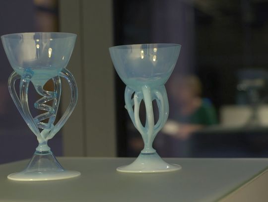 „Ewolucja” - promocja młodych artystów