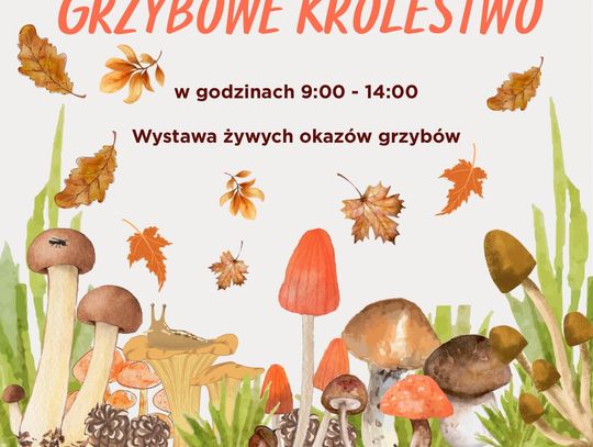 Festiwal "Grzybowe Królestwo" w Książnicy Karkonoskiej