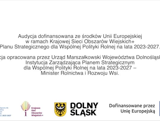„Fundusz sołecki - najlepsza inicjatywa” - prezentujemy laureatów II i III miejsca