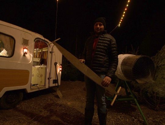 Jaką choinkę wybrać na święta?