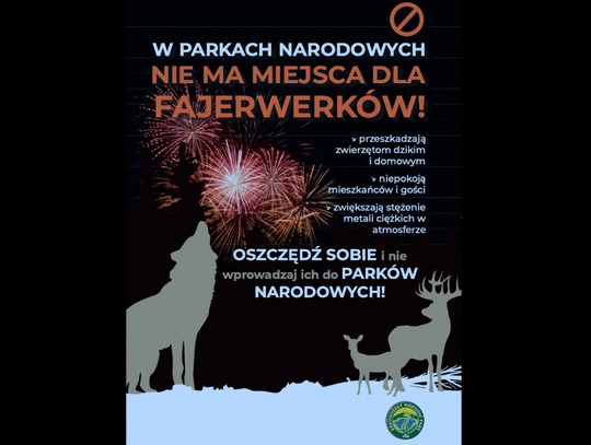 KPN apeluje o zabawę sylwestrową bez fajerwerków