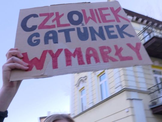Manifestacja ekologiczna