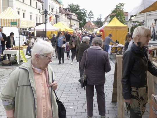 Międzynarodowe Warsztaty Pszczelarskie odwołane