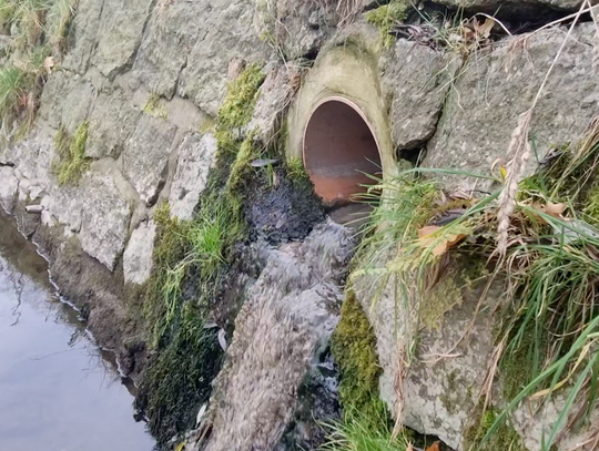 Mieszkaniec poprosił nas o interwencję...