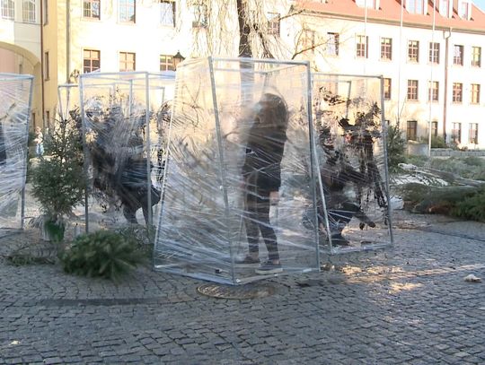 Młodzież wypowiedziała się na temat jakości powietrza... 