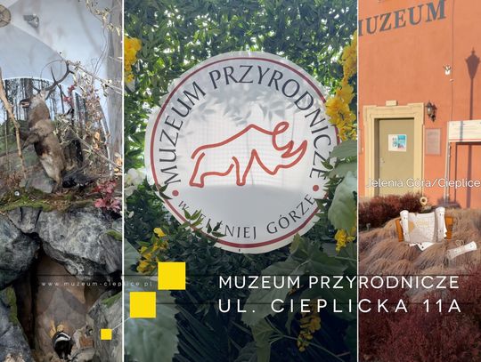MUZEUM PRZYRODNICZE W JELENIEJ GÓRZE/CIEPLICACH dla małych i dużych - to wyjątkowe miejsce na mapie Dolnego Śląska