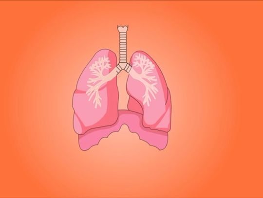 Na Dolnym Śląsku ruszył projekt profilaktyki raka płuca