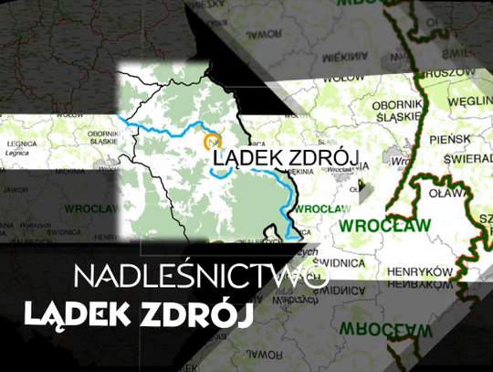 Nadleśnictwo Lądek Zdrój - Lasy Dolnego Śląska