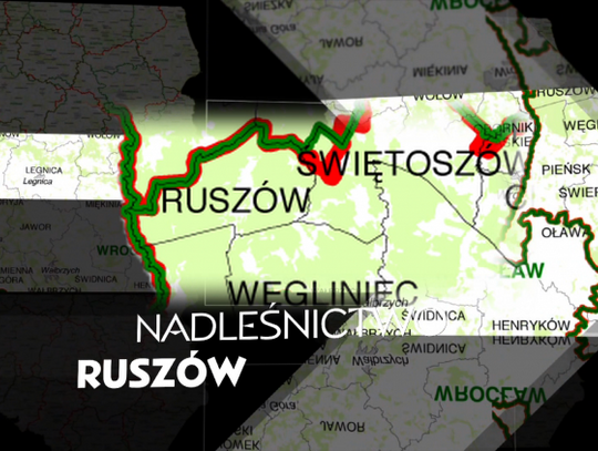 Nadleśnictwo Ruszów - Lasy Dolnego Śląska