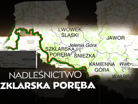 Nadleśnictwo Szklarska Poręba - Lasy Dolnego Śląska