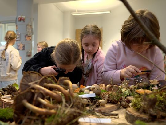 O "Grzybowym Królestwie" w Książnicy Karkonoskiej