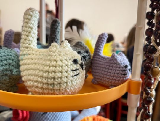 Od warsztatów kulinarnych, zajęć plastycznych i sportowych, po spotkania z teatrem i komiksem... Od warsztatów kulinarnych, zajęć plastycznych i sportowych, po spotkania z teatrem i komiksem...