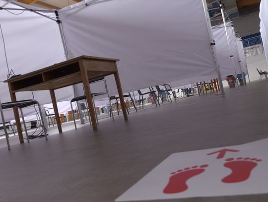 Paszporty Covidowe nabierają daty ważności