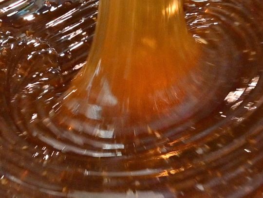 🍯 Płynne złoto do zdobycia w najbliższy weekend w Cieplicach Śląskich Zdroju!🍯