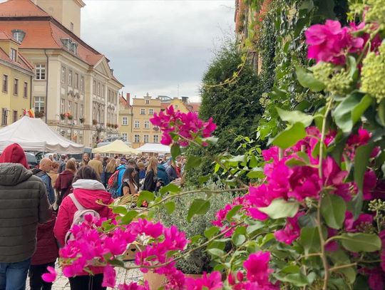 Podajemy daty przyszłorocznych jarmarków