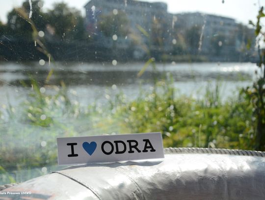 Powołany zostanie zespół badawczy z udziałem dolnośląskich naukowców