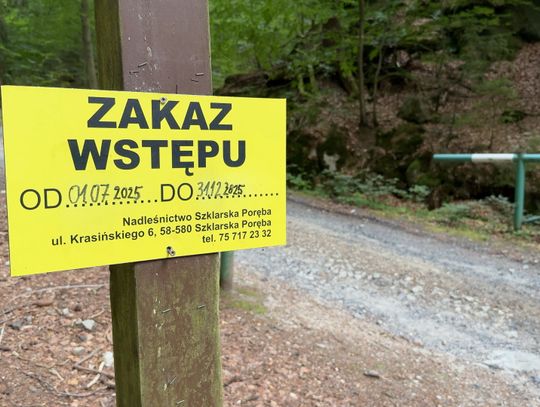 Przedłużyli zakaz wstępu do lasu, ale nie na ścieżki i drogi leśne