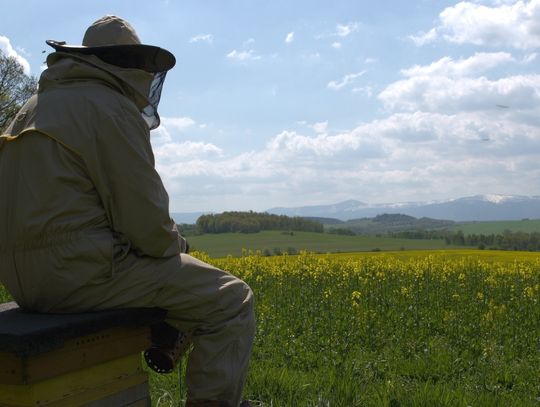 Pszczelarstwo w dobie wysokiej inflacji