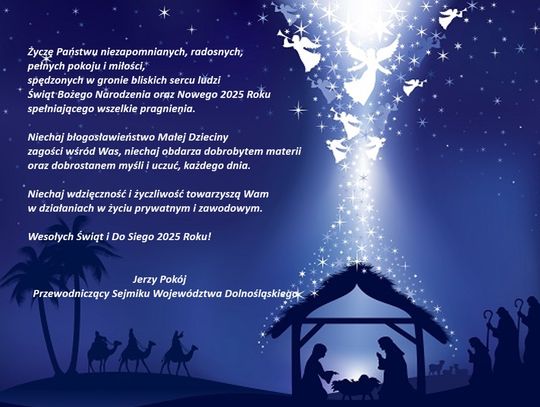 Radości i rodzinnego ciepła oraz pomyślności w Nowym 2025 Roku!