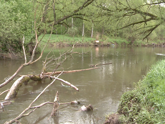 Ścieki trafiły do rzeki
