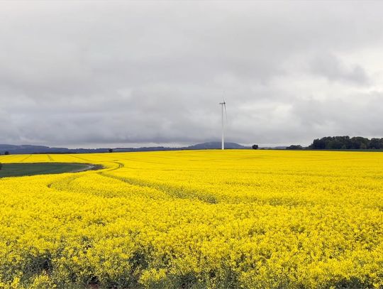 "Spółdzielnie energetyczne" "Spółdzielnie energetyczne"