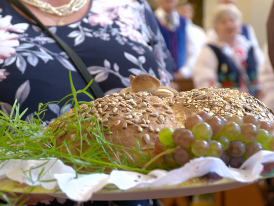 ?Tegoroczne gminne święto plonów do Mirska przyciągnęło tłumy mieszkańców i gości?