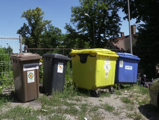 [VIDEO] Powody likwidacji gniazd śmieciowych w Jeleniej Górze