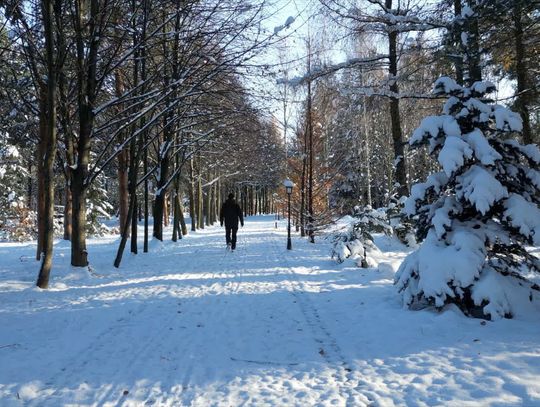 W arboretum można zabawić się w detektywów...