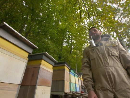 Walka z warrozą i zimowanie pszczół