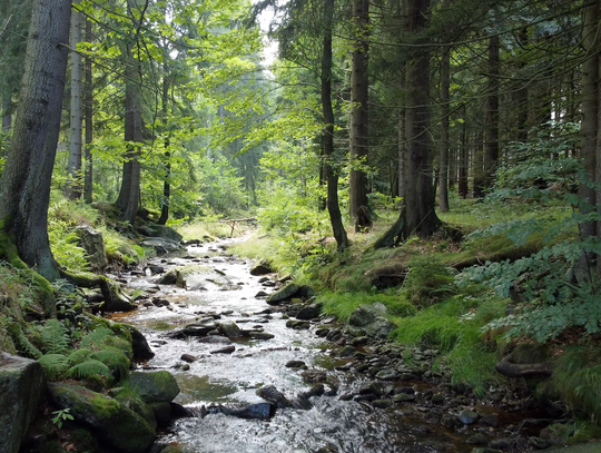 Warto odkryć ciekawe miejsca w Gminie Stara Kamienica