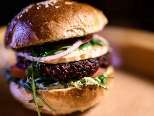 Jeleniogórska Karta Mieszkańca 2025 - lista partnerów jest naprawdę bardzo długa!