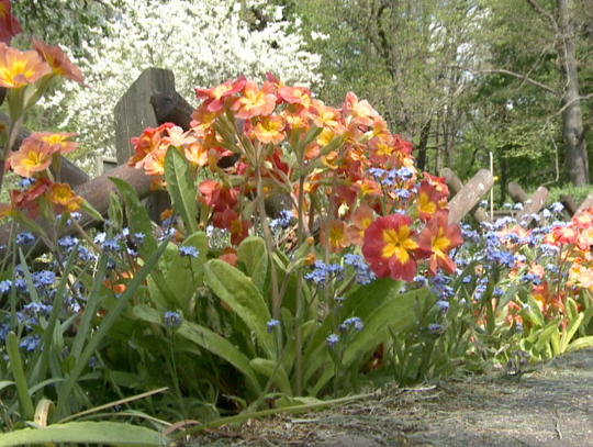 Wiosenne porządki w ogódkach i problematyczne bioodpady. 