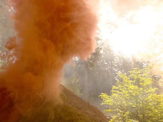 „Współpraca polskich i czeskich służb ratowniczych w zakresie ratownictwa technicznego oraz gaszenia pożarów w lasach”