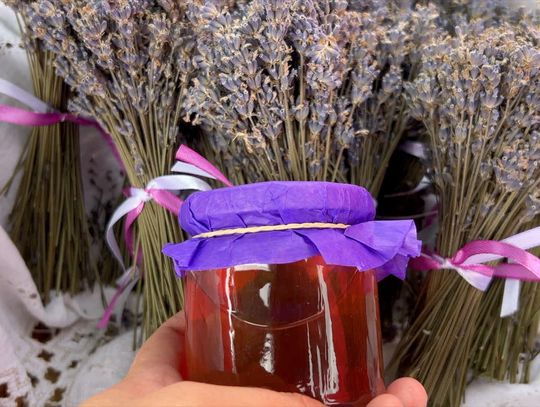 Wyprodukowano pod Śnieżką 2025 - 16 𝘀𝗶𝗲𝗿𝗽𝗻𝗶𝗮 Błonia Jeleniogórskie - wstęp wolny