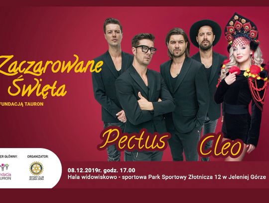 Zaczarowane Święta 2019 - cegiełki już są!