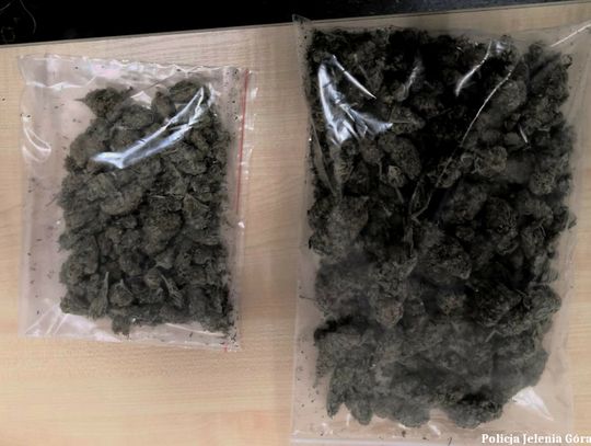 Zatrzymany za posiadanie i handel marihuaną