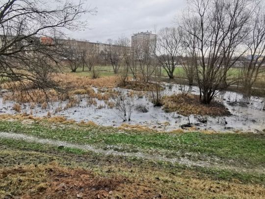 Zwłoki mężczyzny na Kolberga