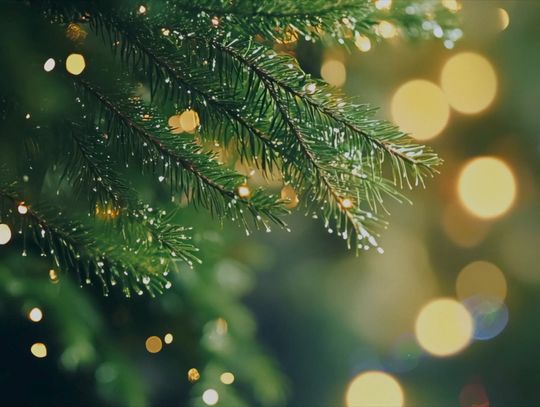 Życzenia dla Mieszkańców Jeleniej Góry