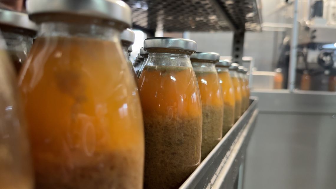 Cudze chwalicie, swego nie znacie!